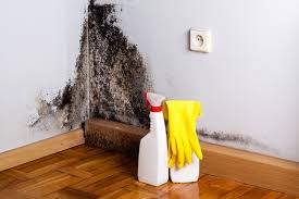 Best Mold Removal for HVAC Installations  in USA